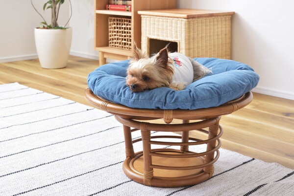 AZUMAYA ペットスツール PET-64 完成品 約φ55×H35  送料無料