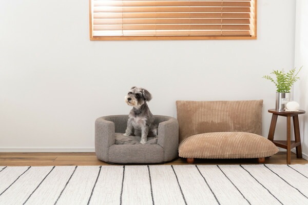 AZUMAYA ペットソファ PET-72GY 完成品 約W58×D44×H29.5×SH15  送料無料