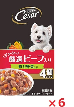 【6個セット】シーザー　ジューシー厳選ビーフ入り　彩り野菜入り 70ｇ×4 マース ペット フード ドッグフード まとめ買い
