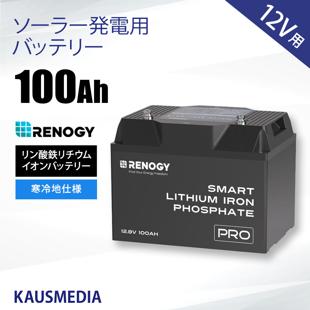 RENOGY リン酸鉄リチウムイオンバッテリー リン酸鉄リチウムイオンバッテリー 1台 RENOGY JAPAN 【通販