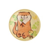 �İ������Υ��復�� ���饹�ޥ��ͥå�(�������С�)