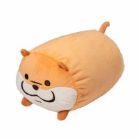 �İ������Υ��復�� ���å����ˤ�ʤ�֥�󥱥å�