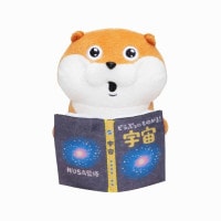 İΥ復 ǥȥåפ̤()