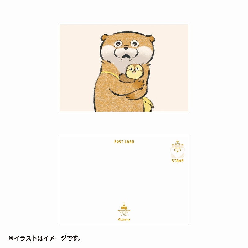可愛い嘘のカワウソ ポストカード(おどろき) | 商品で探す,文房具