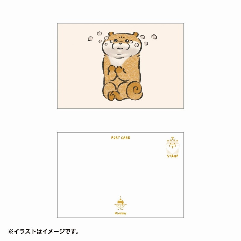 可愛い嘘のカワウソ ポストカード(ぴゃっ) | 商品で探す,文房具