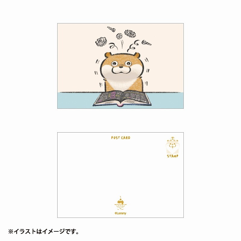 可愛い嘘のカワウ 3巻、絵本、ポストカード、Tカード