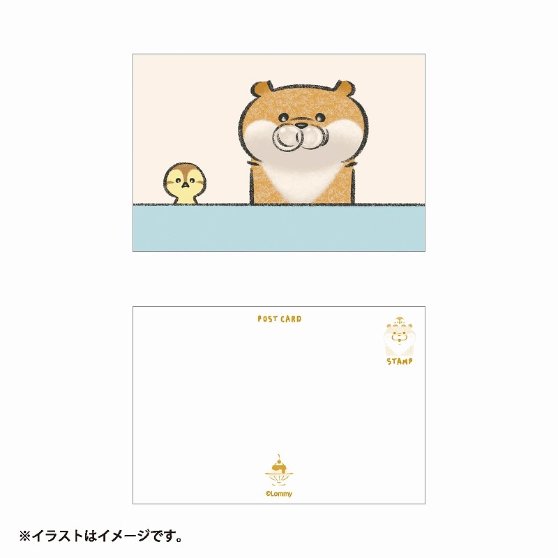 �İ������Υ��復��  �ݥ��ȥ�����(�פ�)