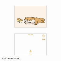 �İ������Υ��復��  �ݥ��ȥ�����(�㵤��)