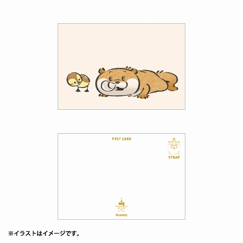 可愛い嘘のカワウソ ポストカード(低気圧) | 商品で探す,文房具