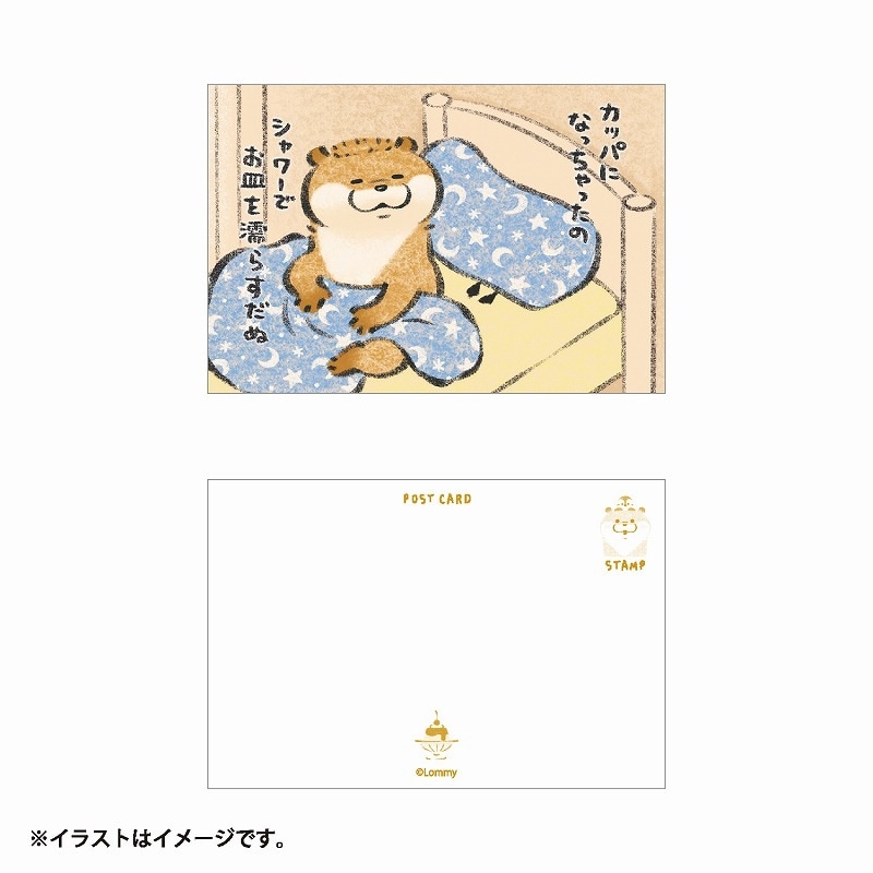 可愛い嘘のカワウ 3巻、絵本、ポストカード、Tカード 可愛い嘘のカワウソポストカードブック | 書籍 | 可愛い嘘の