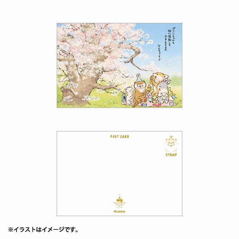 可愛い嘘のカワウ 3巻、絵本、ポストカード、Tカード 可愛い嘘のカワウ 3巻、絵本、ポストカード、Tカード 可愛い嘘の