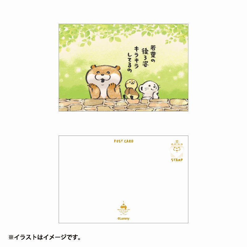 可愛い嘘のカワウソ ポストカード(若葉) | 商品で探す,文房具