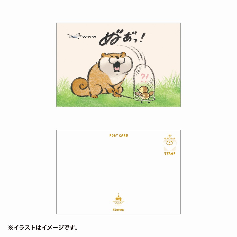 可愛い嘘のカワウソ ポストカード(トンボ) | 商品で探す,文房具