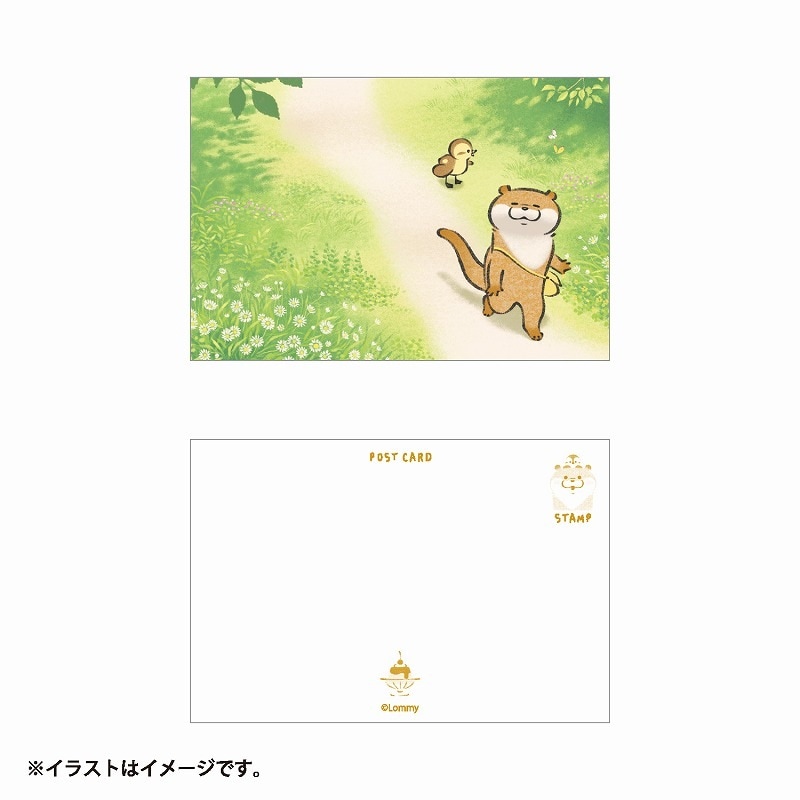 可愛い嘘のカワウソ ポストカード(野原の道) | 商品で探す