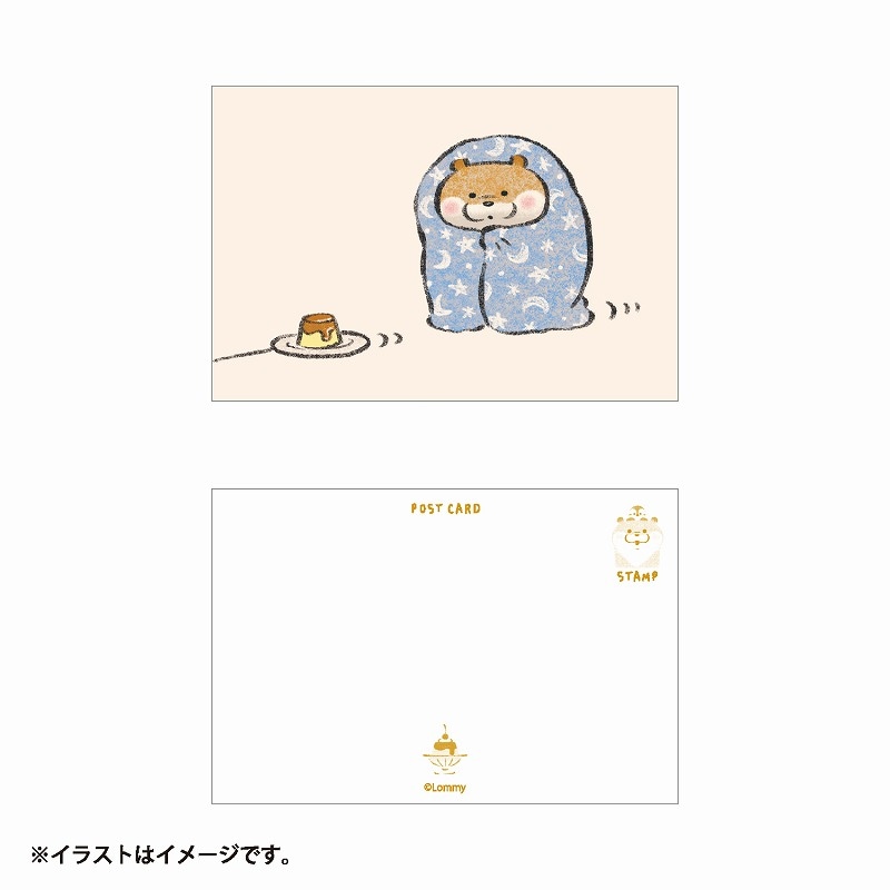 可愛い嘘のカワウ 3巻、絵本、ポストカード、Tカード 000000000884_1_ArSDk9C.jpg