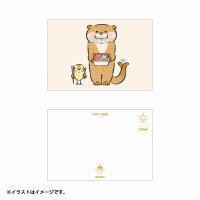 �İ������Υ��復��  �ݥ��ȥ�����(���å׾Ƥ�����)