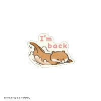 �İ������Υ��復��  ���ޥۤ�Ž��륵�����Υޥåȥ��ƥå���(I'm back)