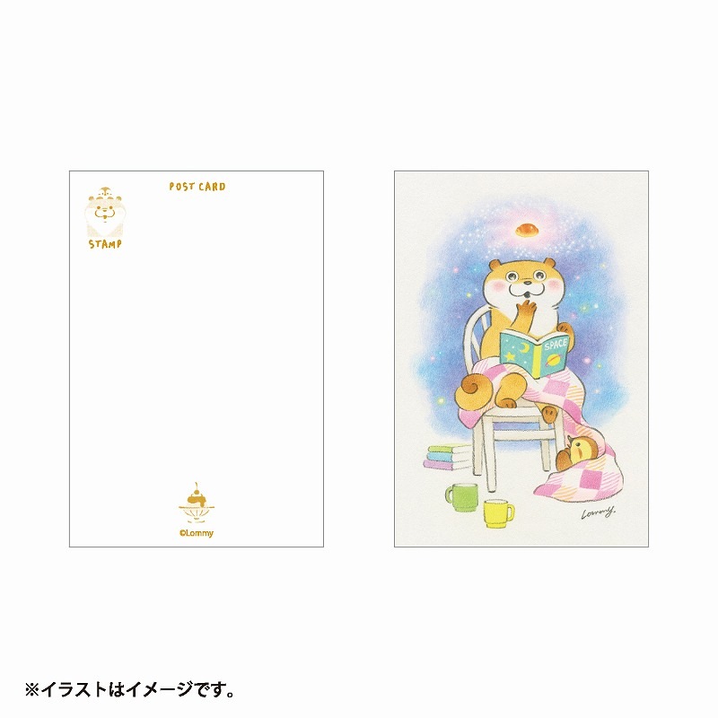 可愛い嘘のカワウ 3巻、絵本、ポストカード、Tカード 可愛い嘘のカワウソ ポストカードブック いつもいっしょだぬ