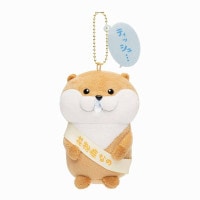 �İ������Υ��復�� ��ʴ�ɤʤΥޥ����å�