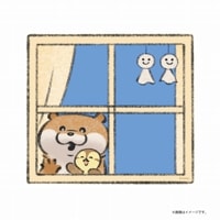 �İ������Υ��復�� �������륹�ƥå��� (��)