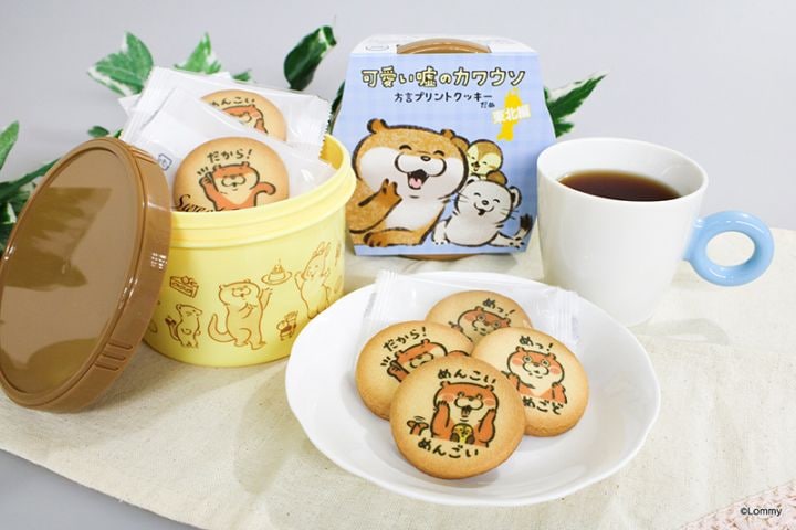 可愛い嘘のカワウソ 方言プリントクッキーだぬ (東北編) | 今月の新