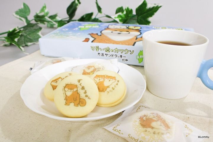 可愛い嘘のカワウソ 方言サンドクッキーだぬ (長野編) | 今月の新商品