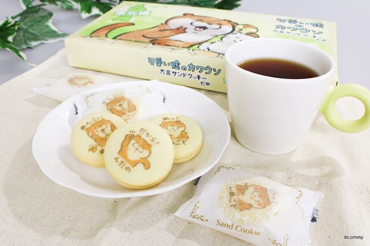 可愛い嘘のカワウソ 方言サンドクッキーだぬ (東北編) | すべての商品