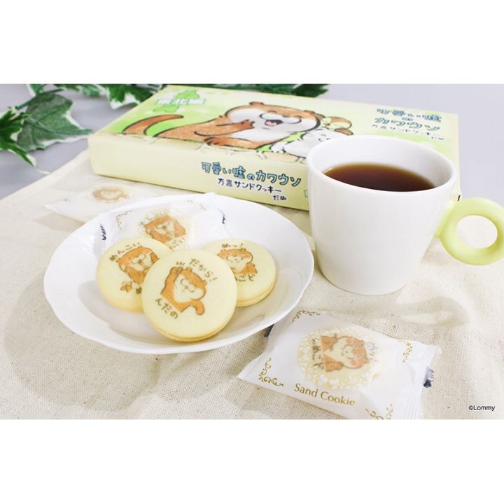 可愛い嘘のカワウソ 方言サンドクッキーだぬ (東北編) | 今月の新商品