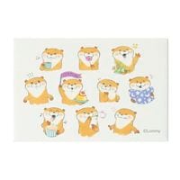 �İ������Υ��復�� ����Ÿ ���������ޥ��ͥå� (���復��������)