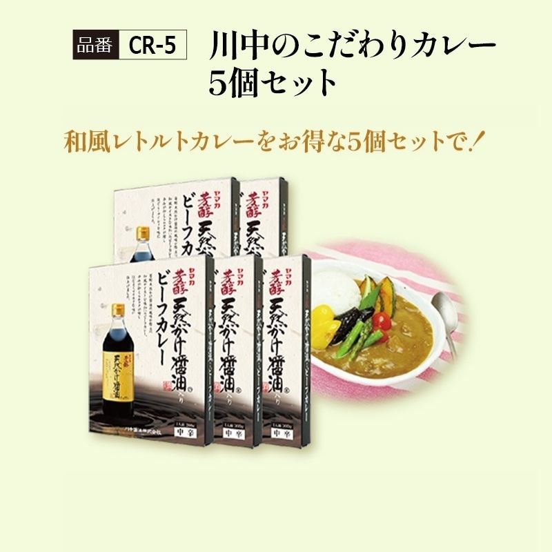 【CR-5】川中のこだわりカレー5個セット 和風レトルトカレー