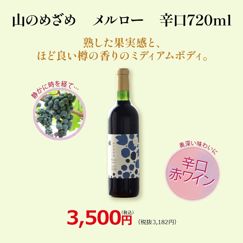 山のめざめ メルロー 辛口 720ml