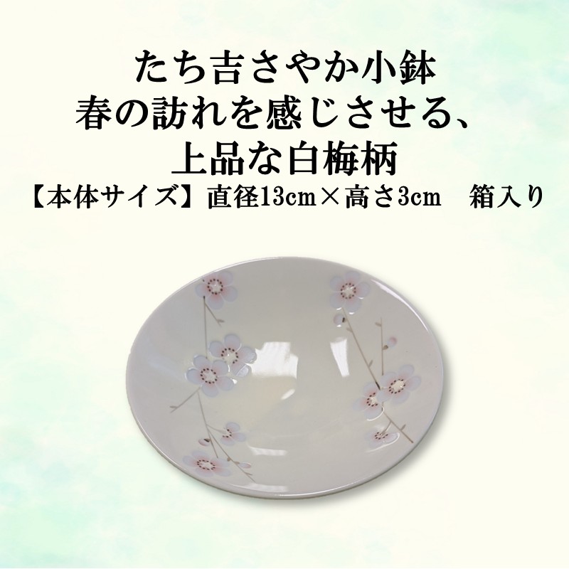 たち吉さやか小鉢