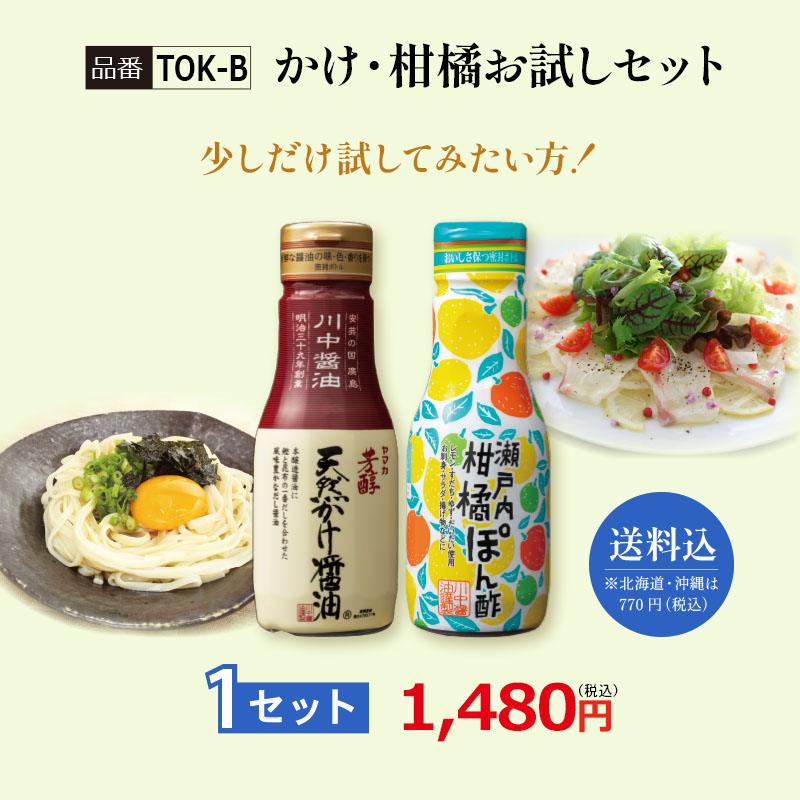 【TOK-B】かけ・柑橘お試しセット 1セット【送料込※北海道・沖縄770円要（税込）】
