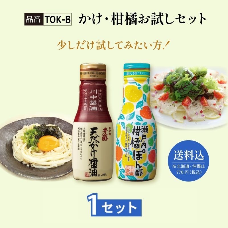 【TOK-B】かけ・柑橘お試しセット 1セット【送料込※北海道・沖縄770円要（税込）】