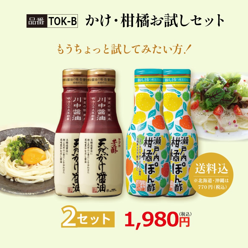 【TOK-B】かけ・柑橘お試しセット 2セット【送料込※北海道・沖縄770円要（税込）】
