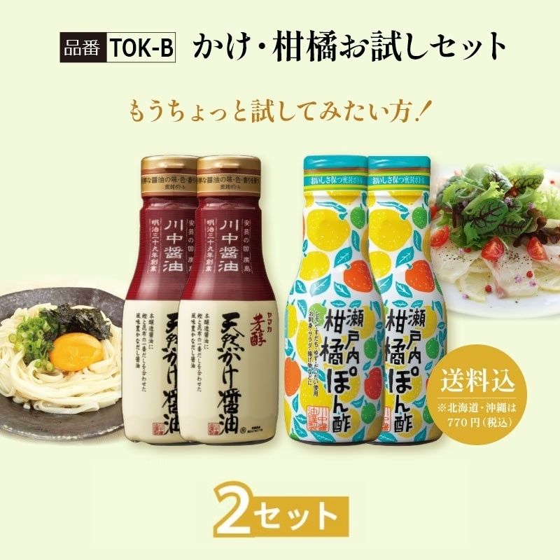 【TOK-B】かけ・柑橘お試しセット 2セット【送料込※北海道・沖縄770円要（税込）】