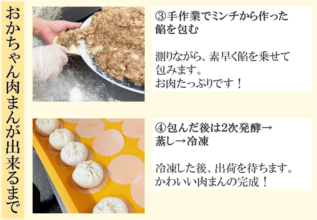 【TAM-10】お宝肉まん 10個セット 要冷凍 【送料込み※北海道・沖縄770円要】