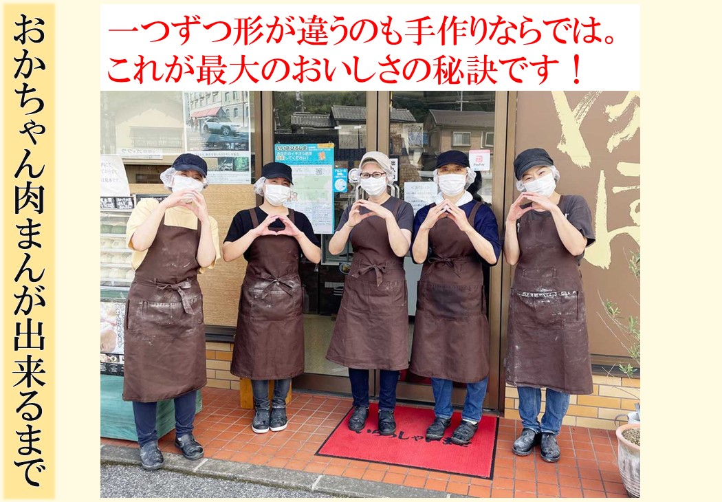 【TAM-5】お宝肉まん 5個セット 要冷凍 【送料込み※北海道・沖縄770円要】