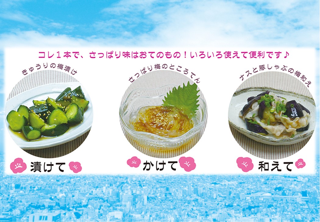 【ISM-K】かけ・梅お試しセット 1セット【送料込※北海道・沖縄770円要（税込）】