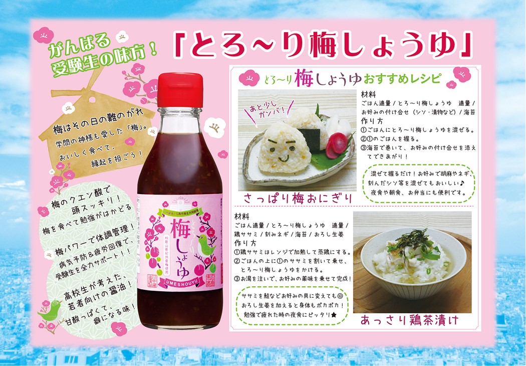 【ISM-K】かけ・梅お試しセット 2セット【送料込※北海道・沖縄770円要（税込）】
