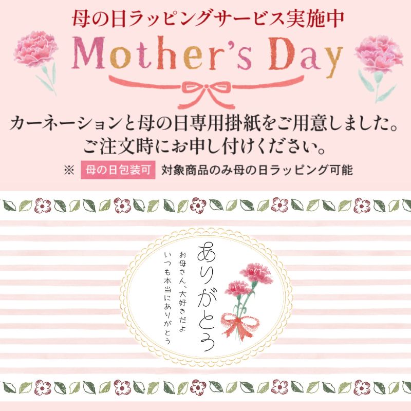 【T-HN】手土産にもぴったり嬉しい詰合せ