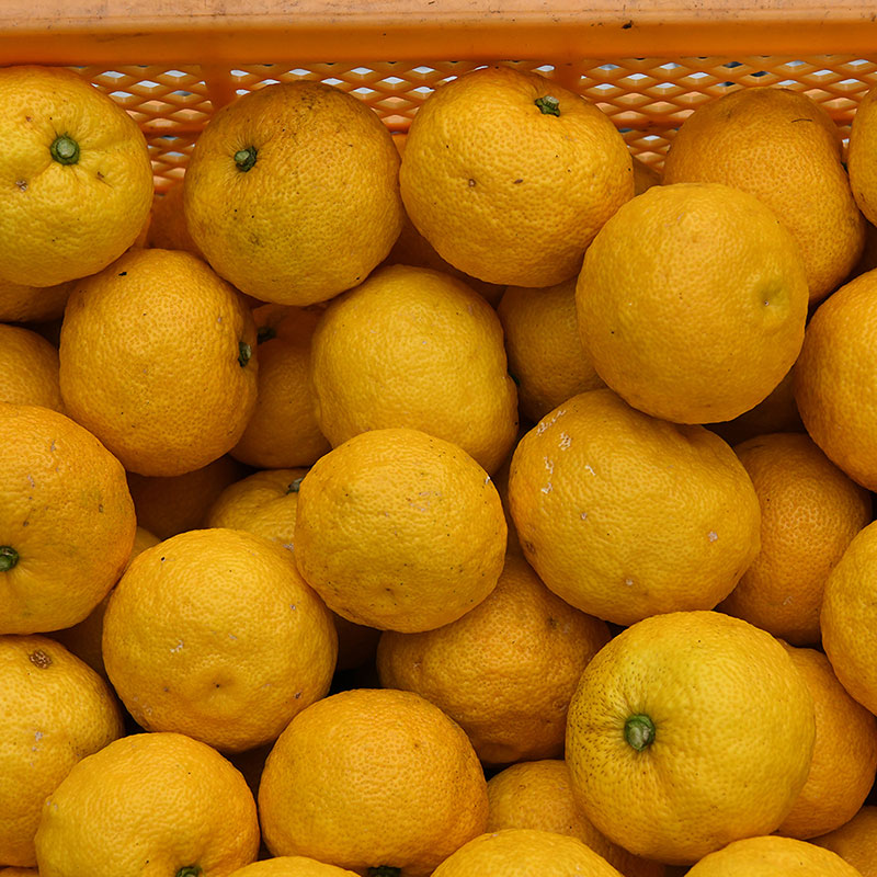 【W-TGY】冬の味わいセット