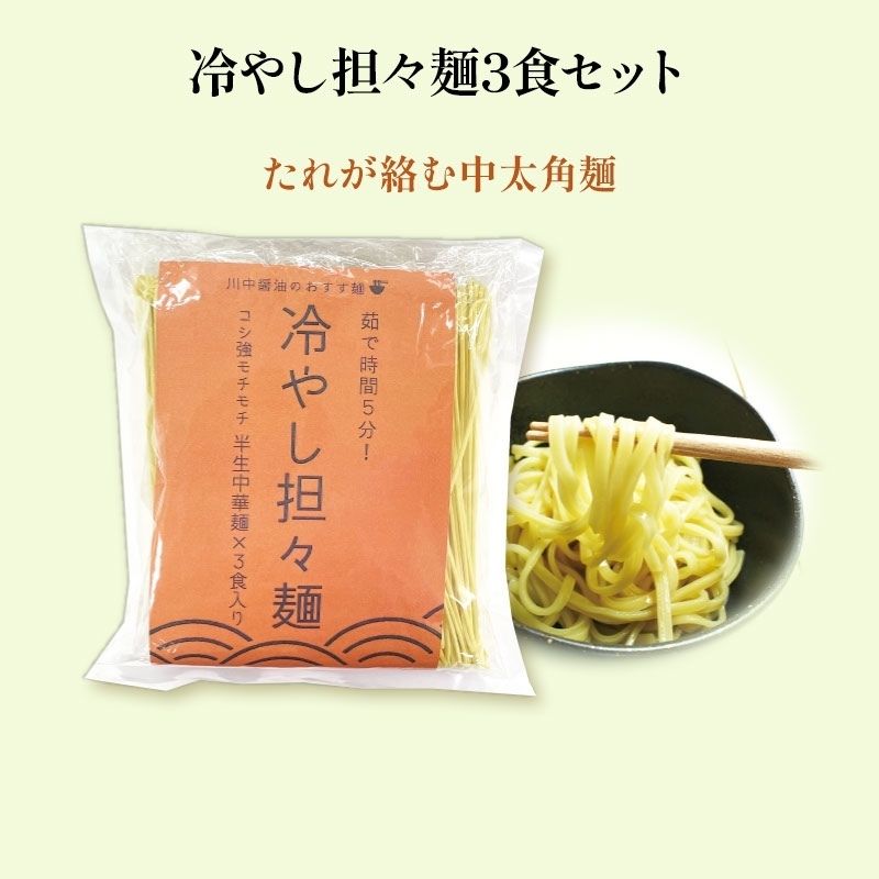 【T-STN】冷やし担々麺セット