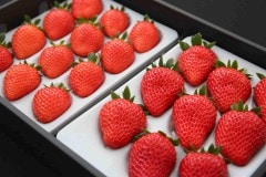 ����īŦ���ߤ������ץ�ߥ��ࢡ�������ޤμ���2�ȥ졼