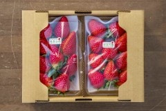 ����īŦ�ߤ��������������ޤμ���2�ѥå�