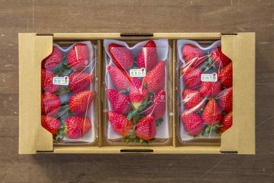 ����īŦ�ߤ��������������ޤμ���3�ѥå�