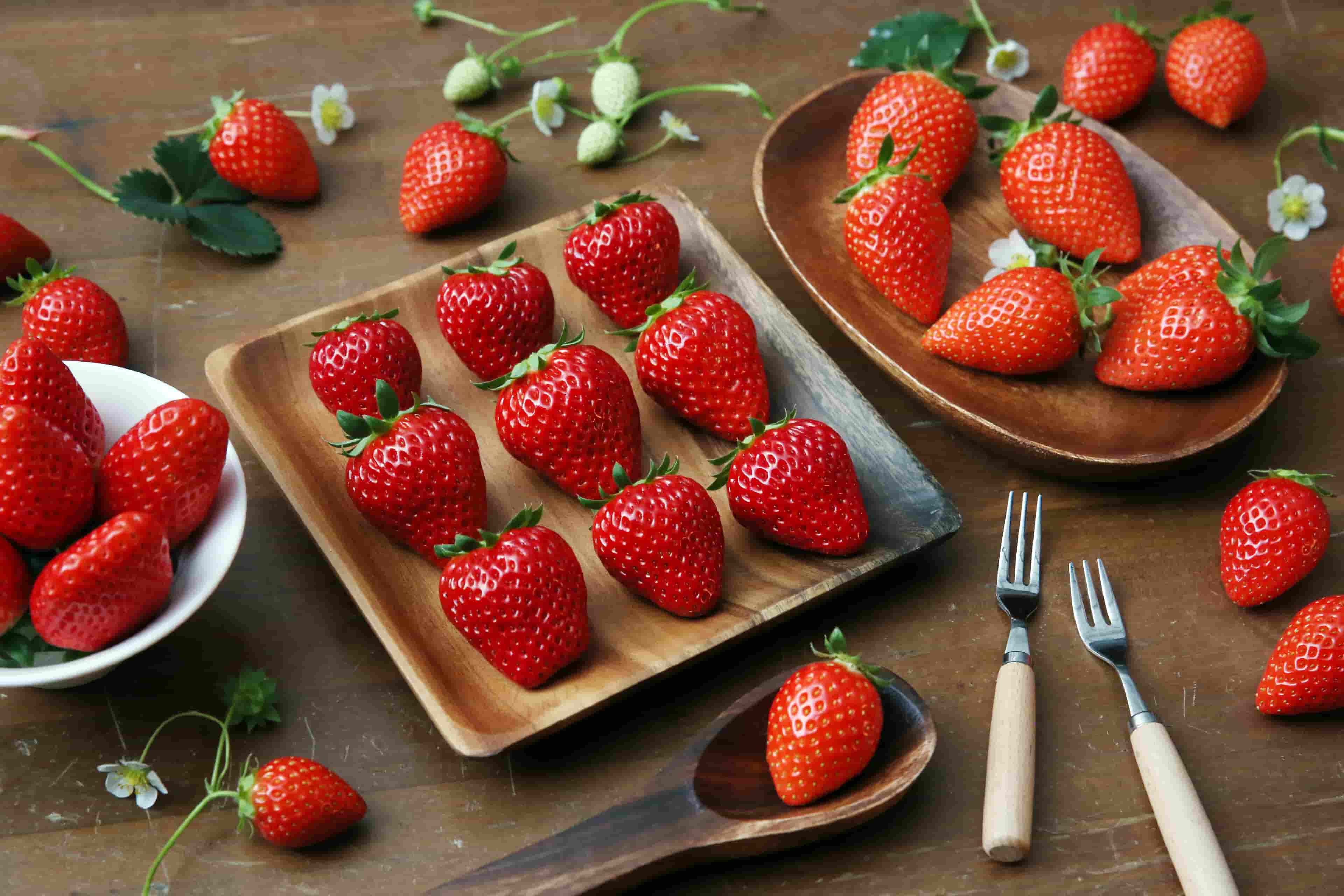 2026/1/4着以降分】朝摘みいちご◇お日さまの雫◇4パック | いちご