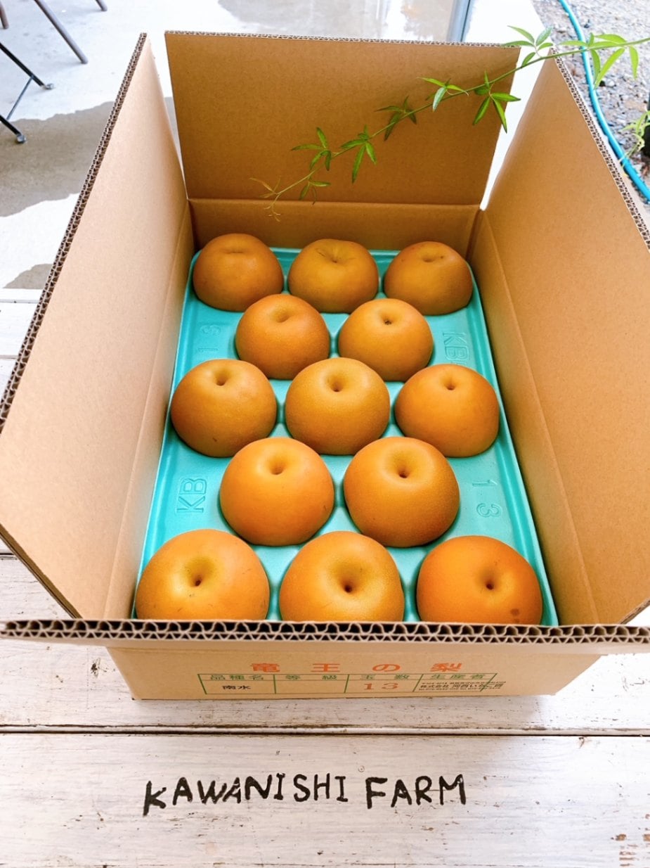 完熟朝穫り梨 幸水 5kg | 完熟梨 | ◇甘く香るイチゴ◇河西いちご園