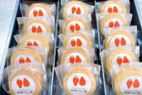 �������ΥХ�������ɡ�10������