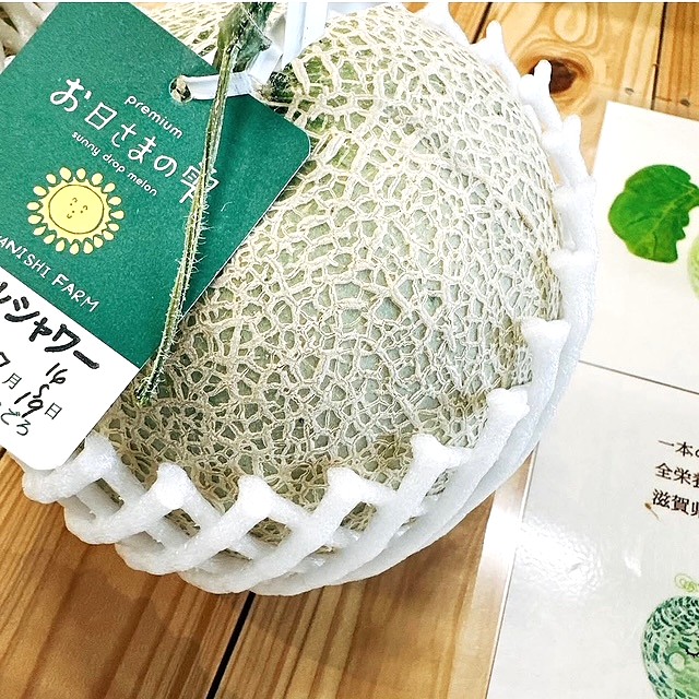 お日さまの雫メロン1個入り（品種おまかせ約1.0kg~1.8kg） | 雫メロン